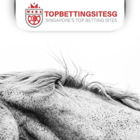 What to Look for in a Horse Racing Betting Platform